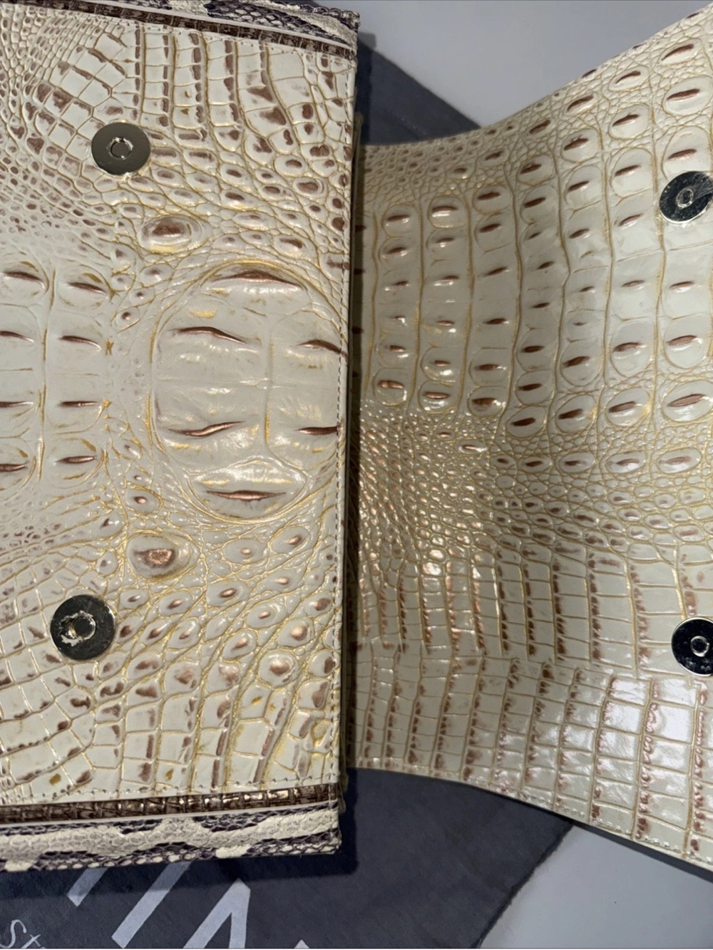 Brahmin Hallie Ivory Iguana Rockville Leather Satchel---NWT - Picture 6 of 10
